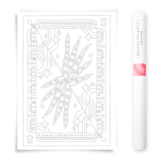 plakaty Plakat do Kolorowania Roślina Doniczkowa Sansevieria 50x70cm