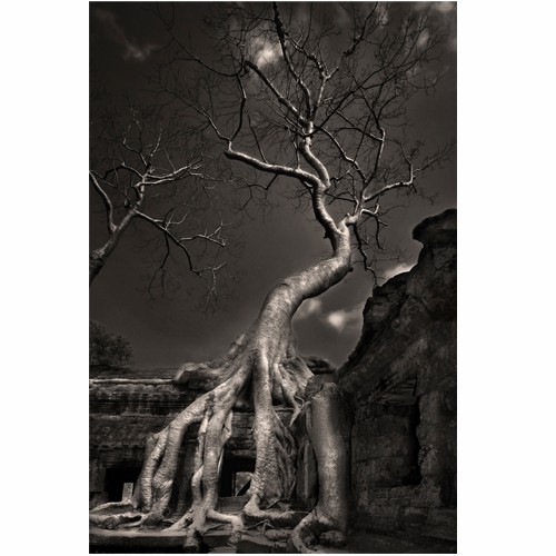 Vajra, - Fotografia 20x30 Ewa Saj Fotografie