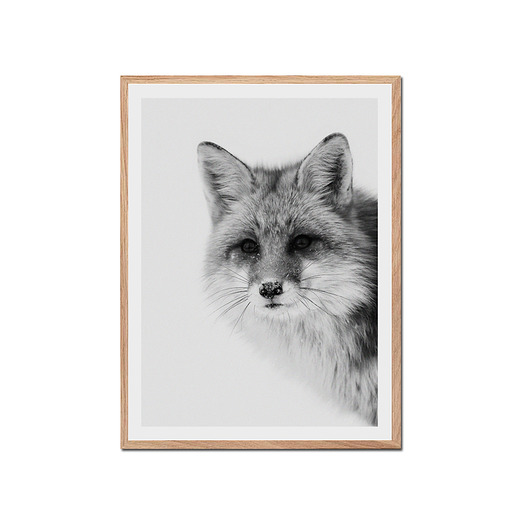 Plakat LISEK muybien