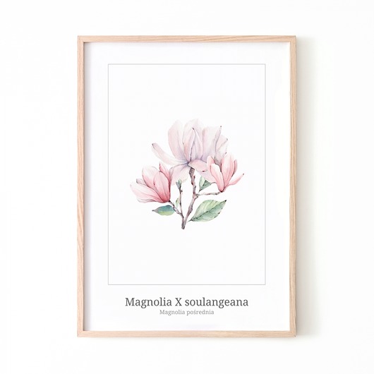 PLAKAT MAGNOLIA P183 Yoko Design