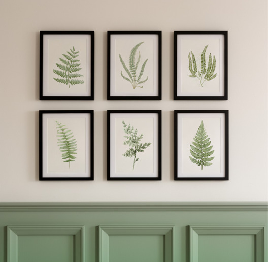 grafiki i ilustracje Ilustracje botaniczne paproć akwarela leśna dekoracja