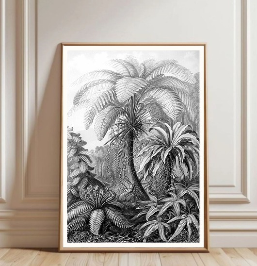 grafiki i ilustracje PLAKAT  ILUSTRACJA tropikalna dżungla vintage