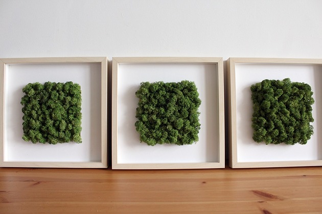 Obrazy z mchu 3 szt.,tryptyk,25x25 ScandiMoss