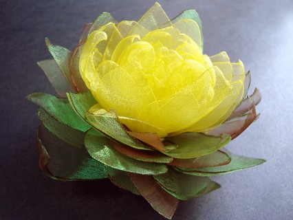 MAŁA NYMPHAEA SundayRose