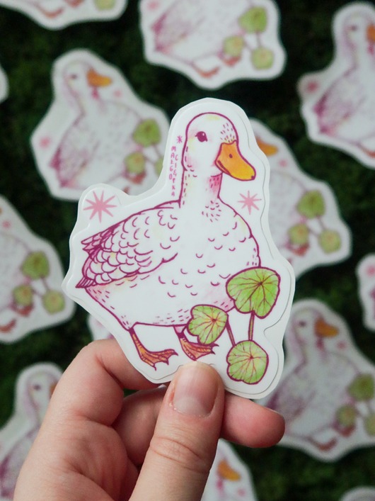 naklejki i wlepy Kaczuszka / naklejka winylowa