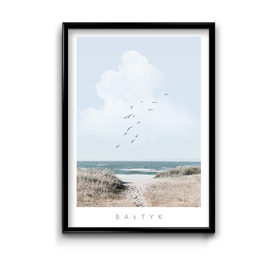 Plakat Bałtyk #1  Bury Lis