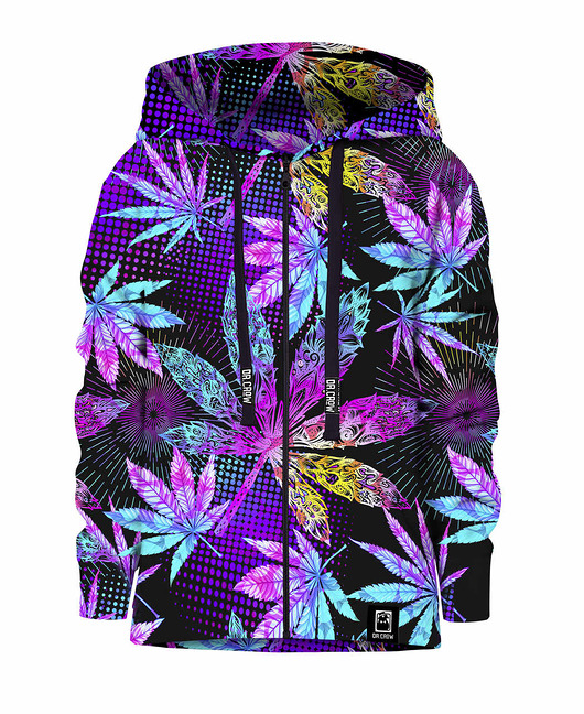 bluzy dla chłopców Bluza Zamek Chłopiec DR.CROW Weed
