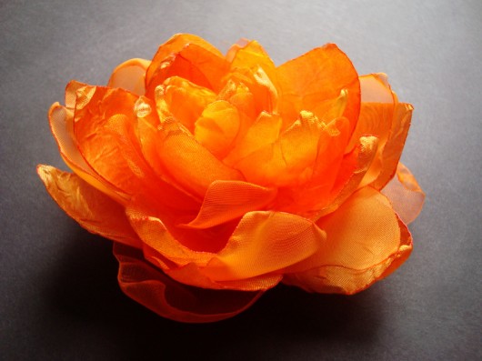 SOCZYSTA POMARAŃCZA SundayRose