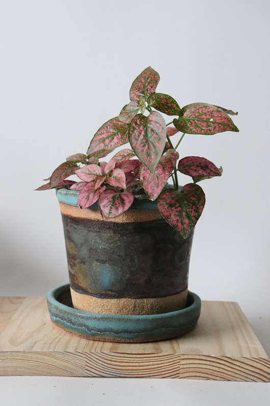 doniczki Doniczka ceramiczna