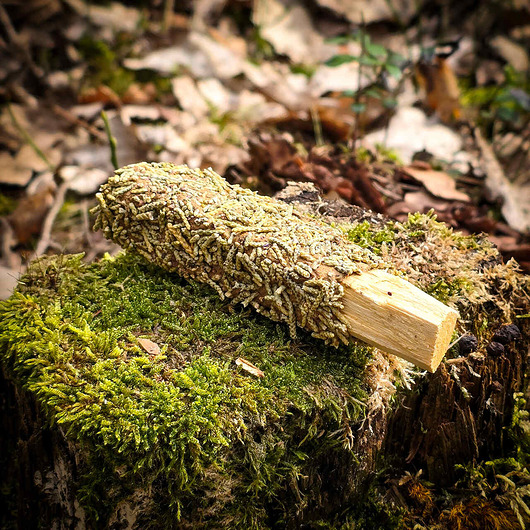 akcesoria do jogi Palo Santo leśne jałowiec i cedr