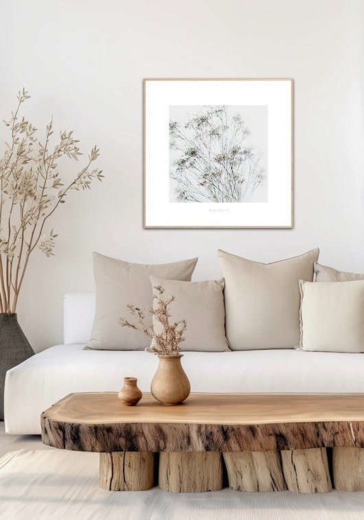 grafiki i ilustracje Gipsówka  kwiaty obraz do domu / Fine Art Pint