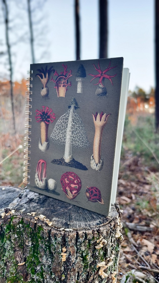 kalendarze i plannery LNIANY PLANER 2026 Kalendarz zbioru grzybów prozdrowotnych format B5