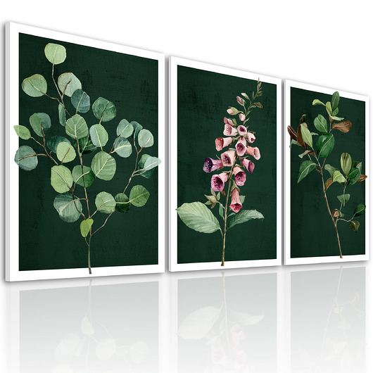obrazy OBRAZ NA PŁÓTNIE -ROŚLINKI 3 części 50x70cm