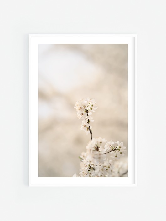fotografia Wiosenne drzewo
