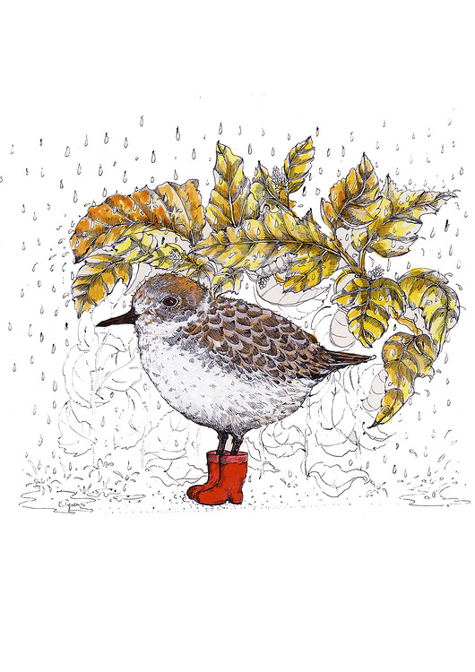 Ptaszek w butach- ilustracja- grafika BOSKE