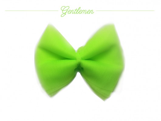 Gentlemen's bow - fluo - mucha Olga POKRYWKA