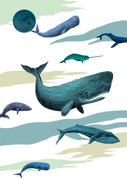 whale night Tiri riri