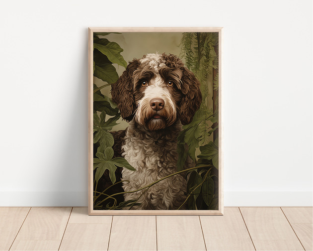 plakaty Plakat lagotto romagnolo