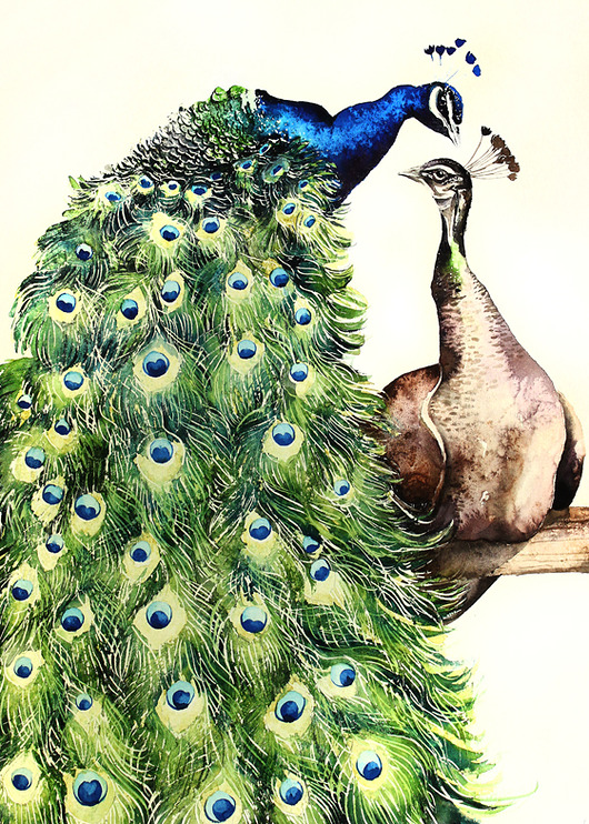 Pawie- plakat, reprodukcja 30x40cm Karolina Kijak