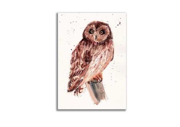 grafiki i ilustracje Akwarela ręcznie malowana "Sowa"