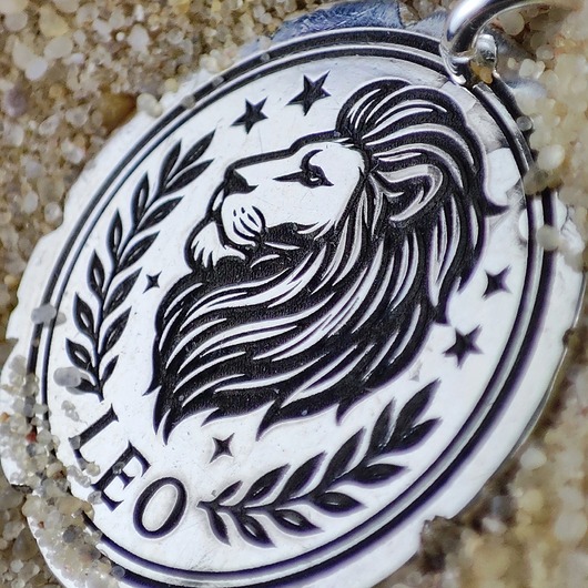srebrne naszyjniki Znak zodiaku LEW - moneta na szczęście