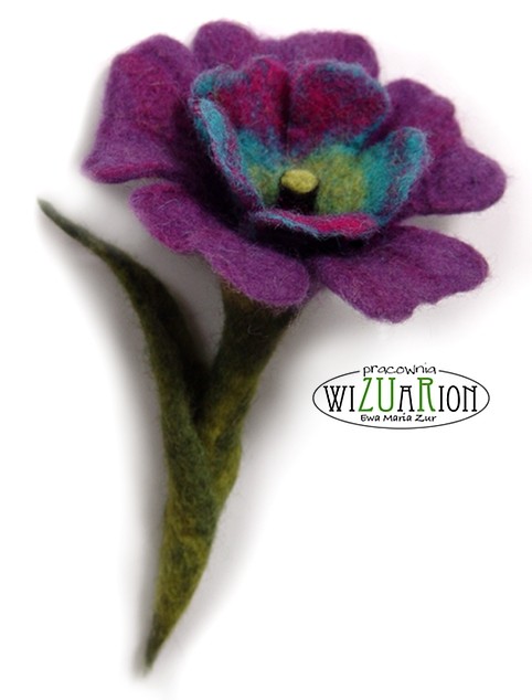 Motylak WIZUARION