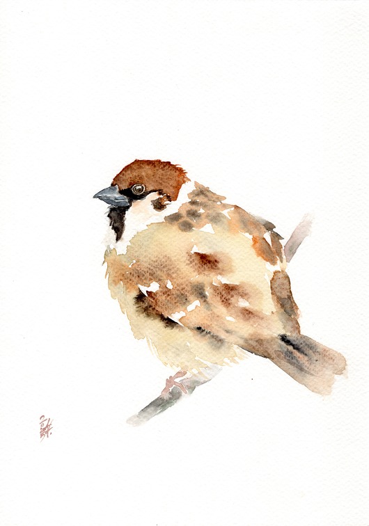 obrazy Oryginalna akwarela. Mazurek