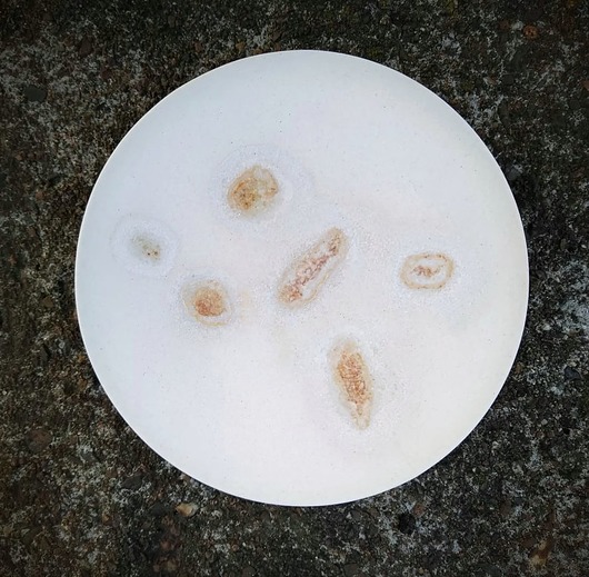 patery i talerze POMIDOR Talerz kamionkowy 13cm