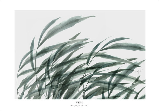 Wind, print 70x50 cm Margo Hupert
