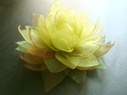 ZIELONA CYTRYNA SundayRose