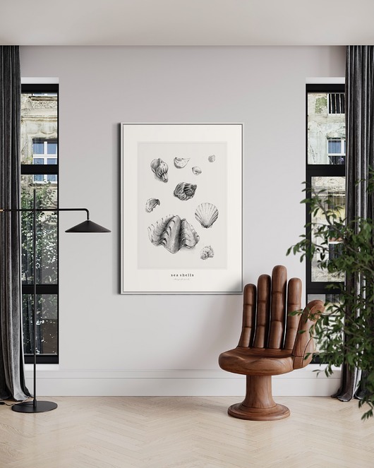grafiki i ilustracje Muszle   print 50x70 cm
