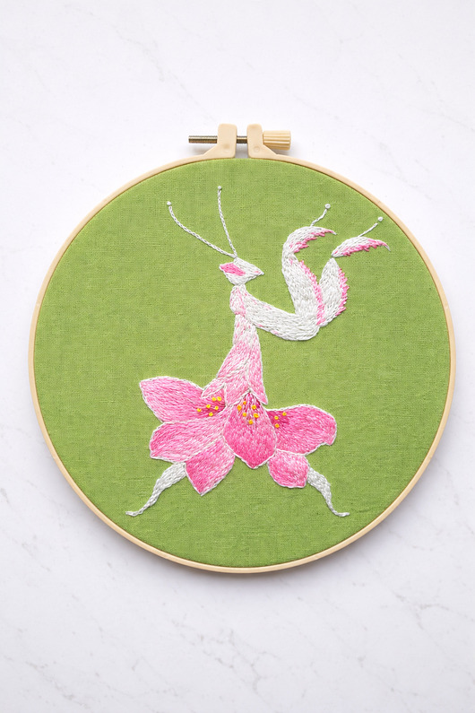 Ozdoby na ścianę Modliszka storczykowa.