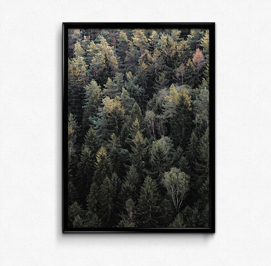 Las 30x40 plakat Bury Lis