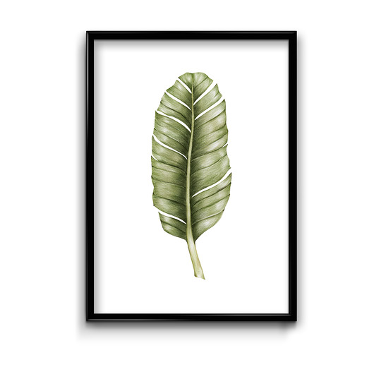 plakaty Plakat - Bananowiec