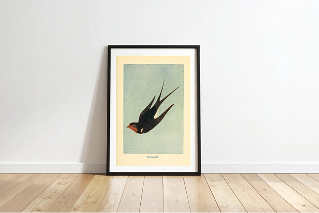 plakaty PLAKAT jaskółka, stara grafika, vintage dekoracja ścienna, ptak