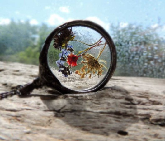 wisiory mini terrarium