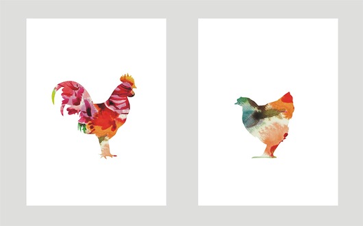 KOGUT I KURA- poster, seria PTAKI KOKO by HOKO