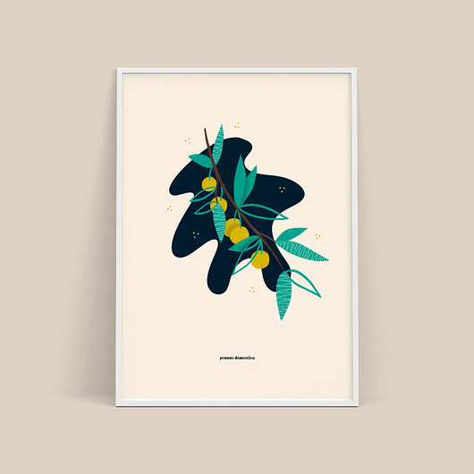plakat / mirabelka / b2 Magdalena Morzuch