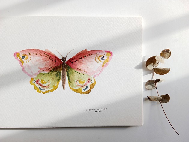 plakaty Plakat Różowy Motyl