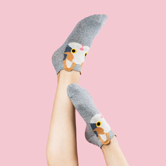 Damskie skarpetki Kotek - szara CandySox