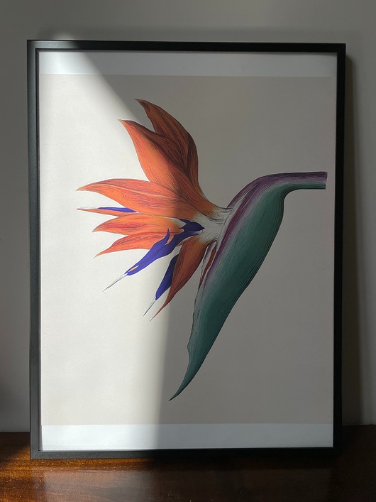 plakaty Plakat Primavera 1
