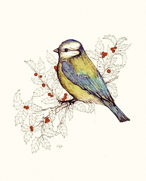 ptaki-vintage BOSKE