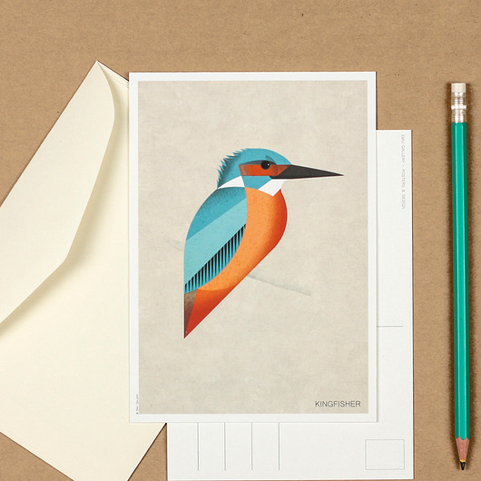 grafiki i ilustracje Pocztówka, zimorodek, kingfisher, ptak