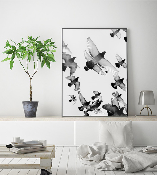 grafiki i ilustracje Ptaki 50x70 cm