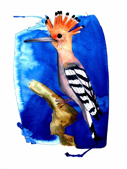 Plakat Dudek Warsaw Birds