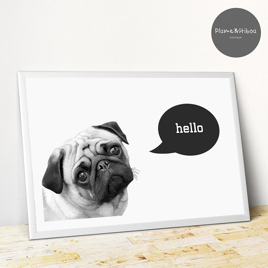 Plakat Mops Hello PlumeHibou