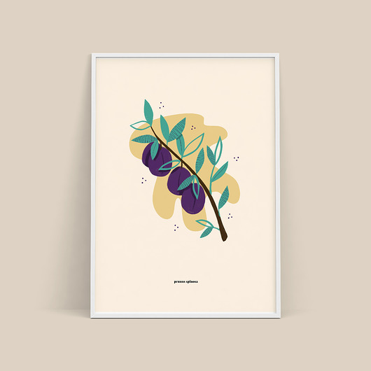 plakat / śliwka / b2 Magdalena Morzuch