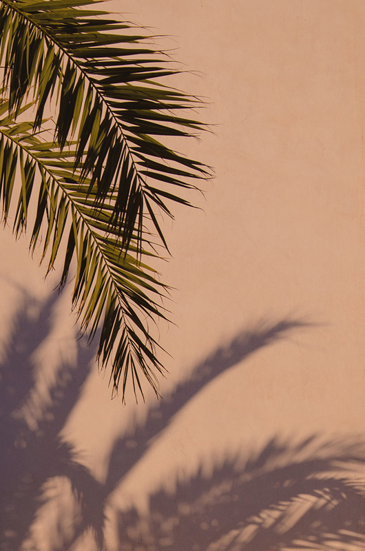 Plakat Tropical 50x70 Minimal Studio