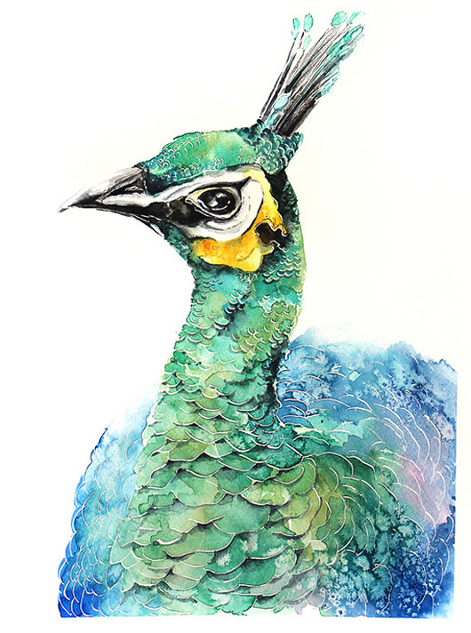Paw portret - plakat, reprodukcja 30x40cm Karolina Kijak