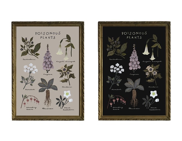 grafiki i ilustracje Poisonous plants